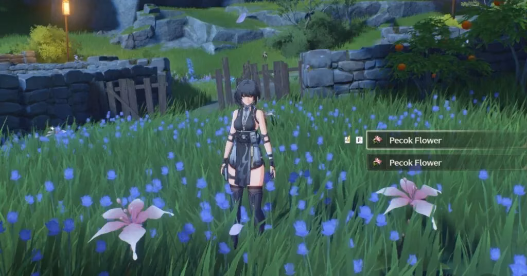 my-insane-guide-to-farming-pecok-flowers-in-wuthering-waves-2026-edition-image-2