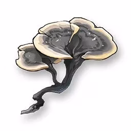 yinlin-ultimate-guide-kit-materials-resonance-chain-build-tips-for-wuthering-waves-image-3